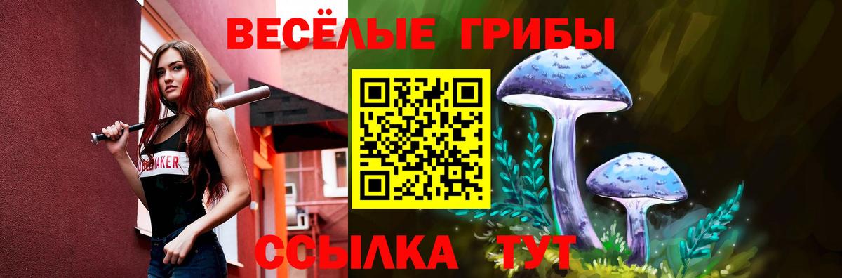 Псилоцибиновые грибы Psilocybe  Вход с VPN  Кувандык 